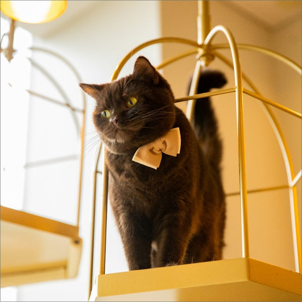 ゼロ様専用】ミニサイズ！ラピスラズリの蝶ネクタイねこちゃん形オルゴ