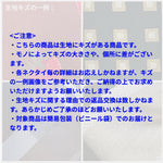 【ワケアリ】リバーシブルレジメンドットタイ PINK